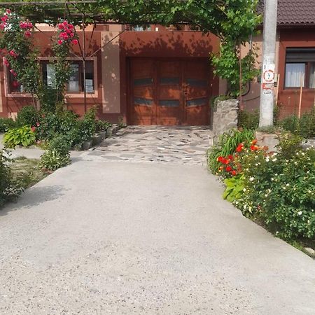 Casa Elena Eselnita Hotel Luaran gambar