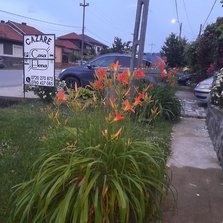Casa Elena Eselnita Hotel Luaran gambar