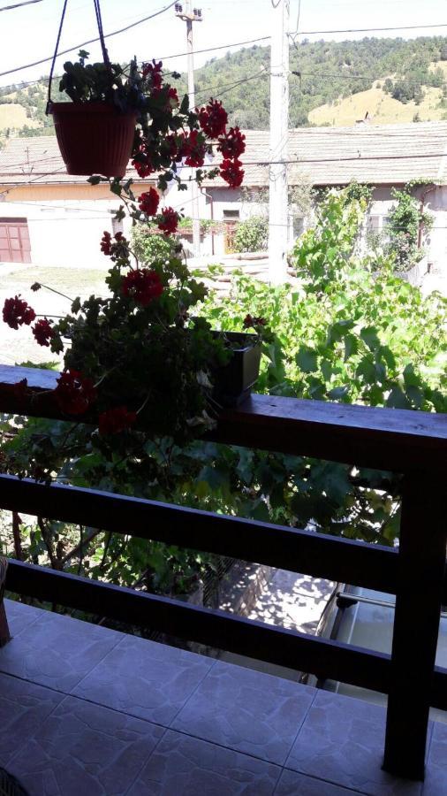 Casa Elena Eselnita Hotel Luaran gambar