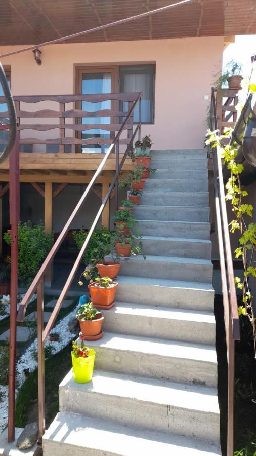 Casa Elena Eselnita Hotel Luaran gambar
