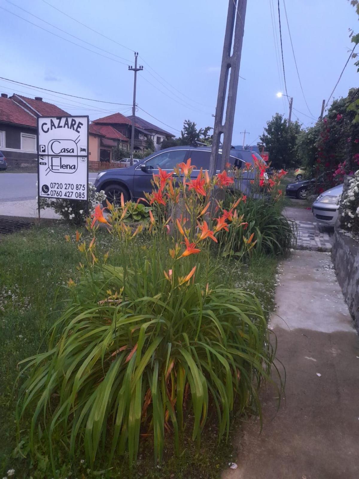 Casa Elena Eselnita Hotel Luaran gambar