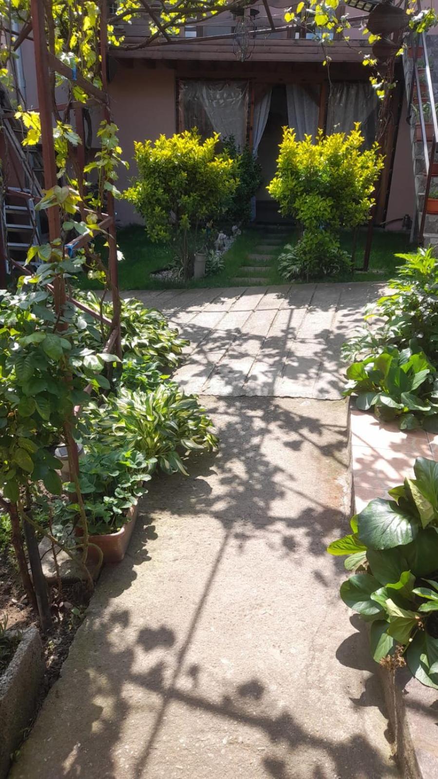 Casa Elena Eselnita Hotel Luaran gambar
